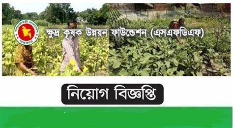 SFDF Job Circular 2025 SFDF Job Circular 2025